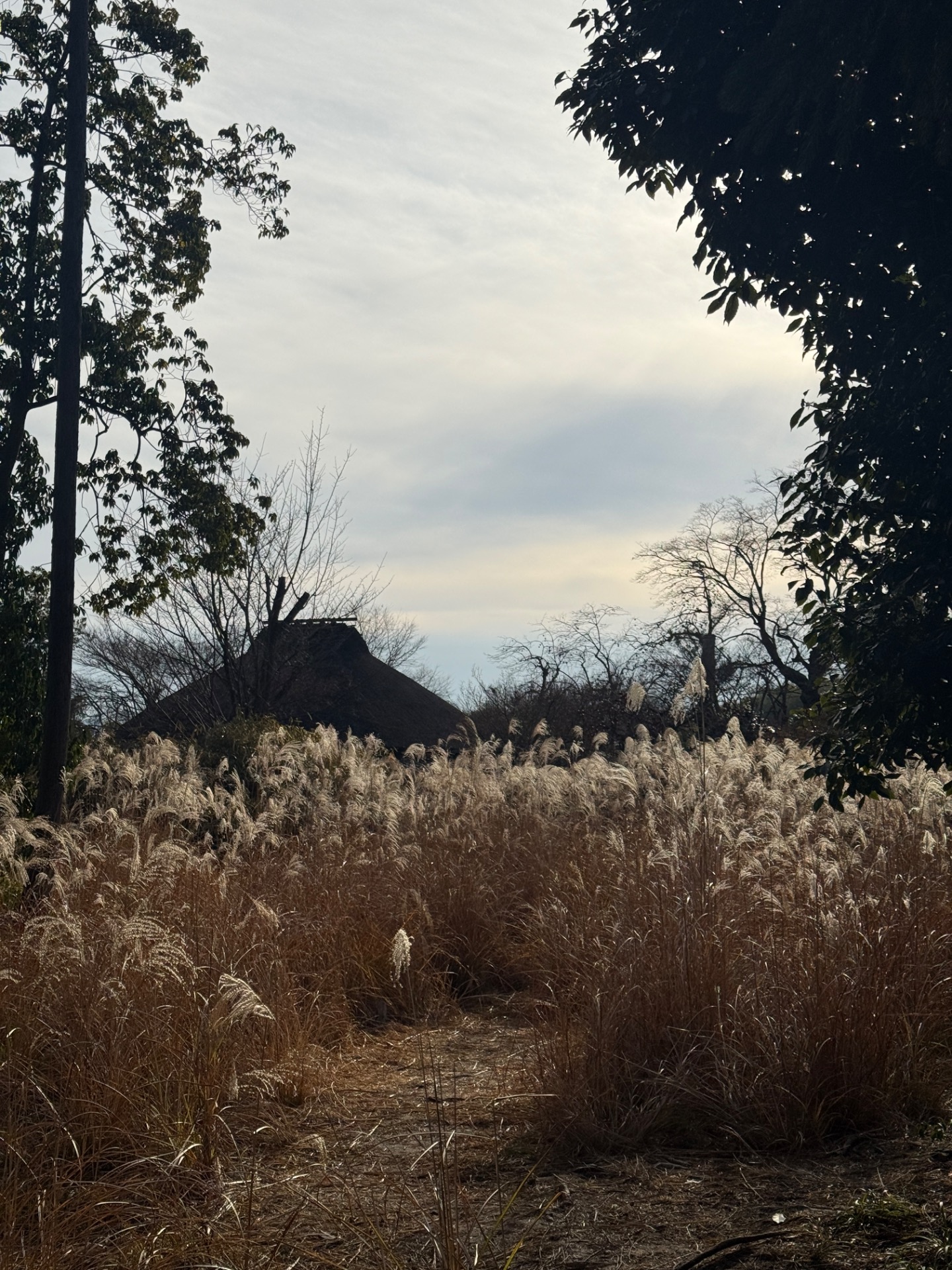 Calm local scenery along a walking route in Arashiyama, Kyoto